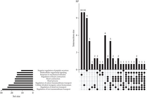 Details are in the caption following the image Details are in the caption following the image