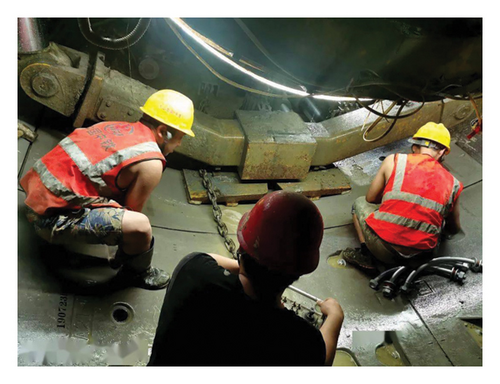 Details are in the caption following the image Details are in the caption following the image