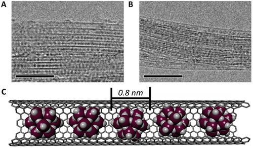 Details are in the caption following the image Details are in the caption following the image
