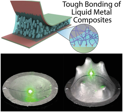 Tough Bonding of Liquid Metal-Elastomer Composites for Multifunctional Adhesives
