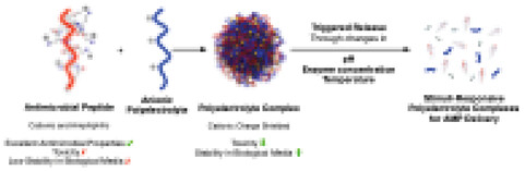 Stimuli-Responsive Delivery of Antimicrobial Peptides Using Polyelectrolyte Complexes