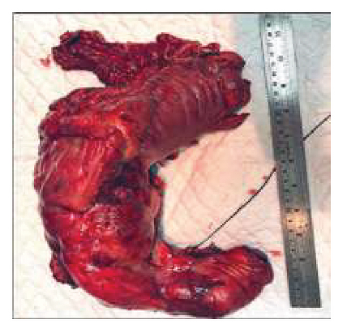 Details are in the caption following the image Details are in the caption following the image