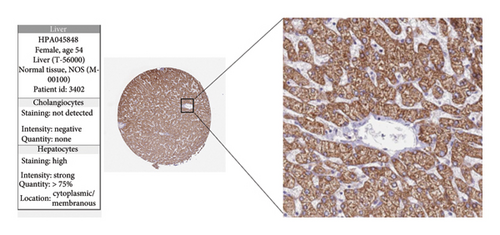 Details are in the caption following the image Details are in the caption following the image