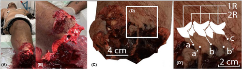 Details are in the caption following the image Details are in the caption following the image