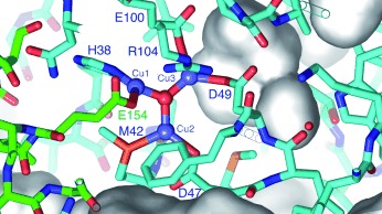 Redox Potentiometry Studies of Particulate Methane Monooxygenase: Support for a Trinuclear Copper Cluster Active Site