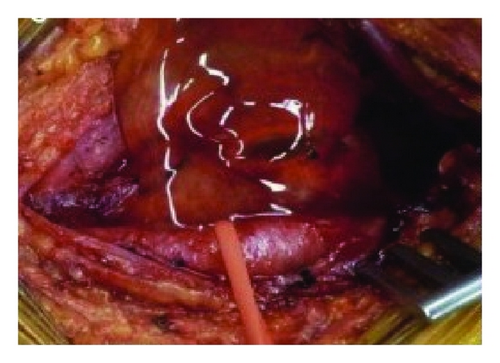 Details are in the caption following the image Details are in the caption following the image