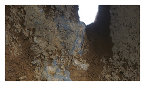 Details are in the caption following the image