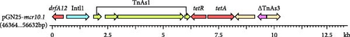 Details are in the caption following the image Details are in the caption following the image