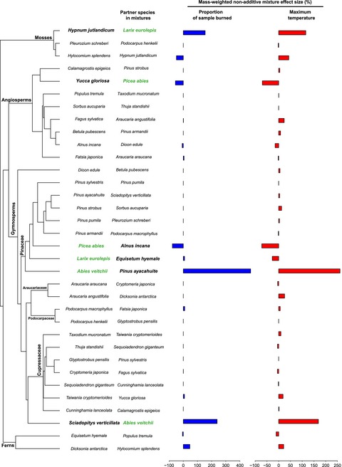 Species mixture effects on flammability across plant phylogeny: the importance of litter particle size and the special role for non-Pinus Pinaceae