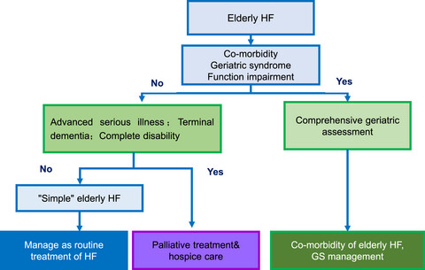 Chinese expert consensus on the diagnosis and treatment of chronic heart failure in elderly patients (2021)