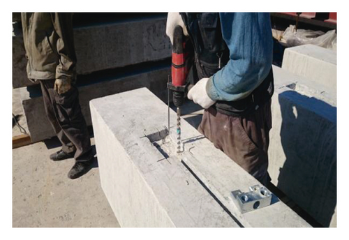 Details are in the caption following the image Details are in the caption following the image