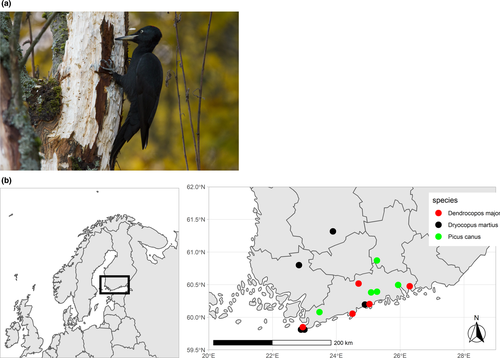 Details are in the caption following the image Details are in the caption following the image
