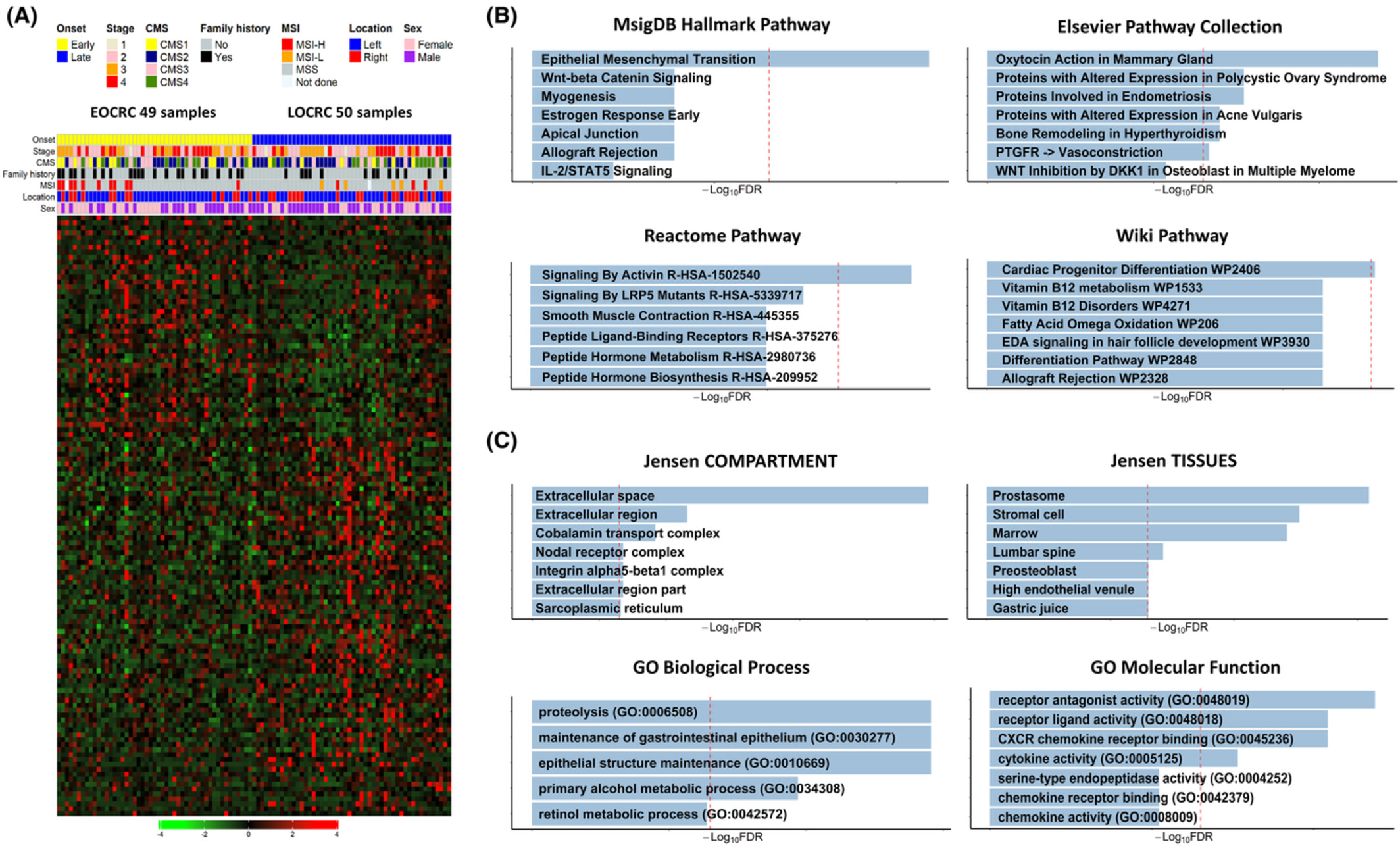 Reduced expression of alanyl aminopeptidase is a robust biomarker of non-familial adenomatous polyposis and non-hereditary nonpolyposis colorectal cancer syndrome early-onset colorectal cancer