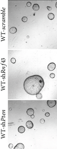 Details are in the caption following the image