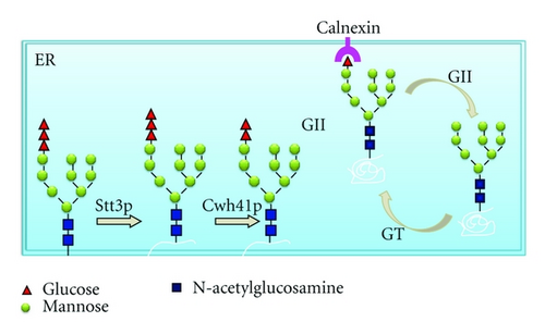 Details are in the caption following the image