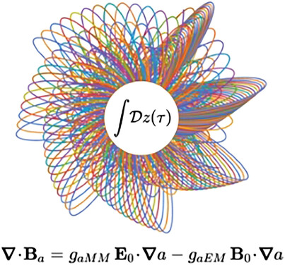 Generic Axion Maxwell Equations: Path Integral Approach