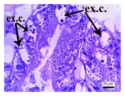 Details are in the caption following the image