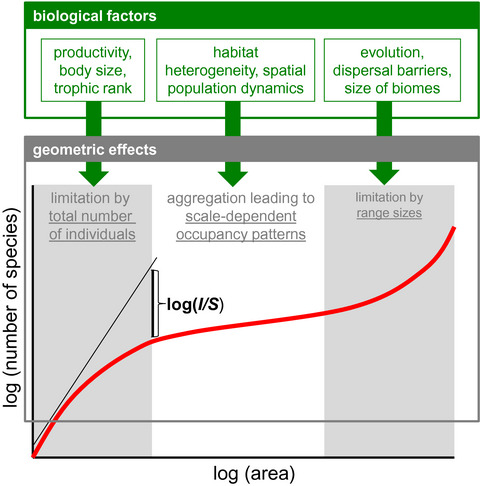 The theory of the nested species–area relationship: geometric foundations of biodiversity scaling