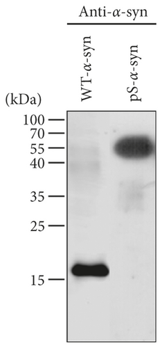 Details are in the caption following the image