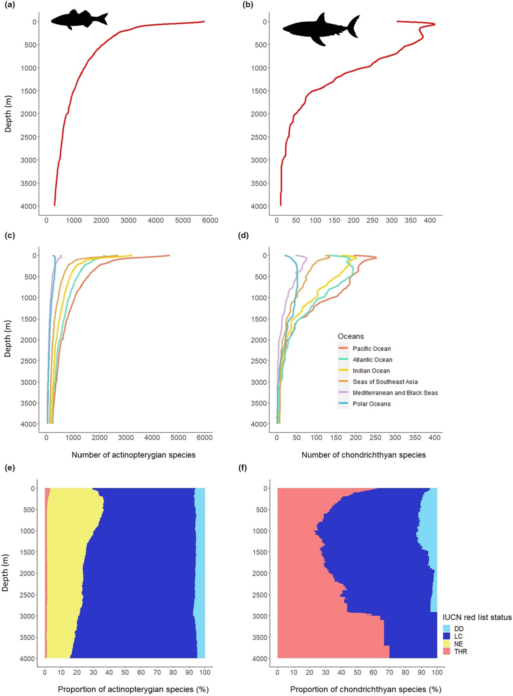 The global depth range of marine fishes and their genetic coverage for environmental DNA metabarcoding