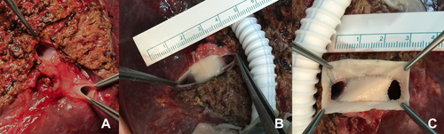Details are in the caption following the image Details are in the caption following the image