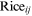 urn:x-wiley:28313224:media:ise313:ise313-math-0049