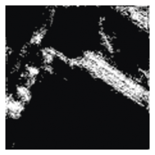 Details are in the caption following the image