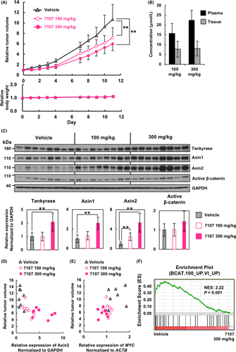 Details are in the caption following the image Details are in the caption following the image