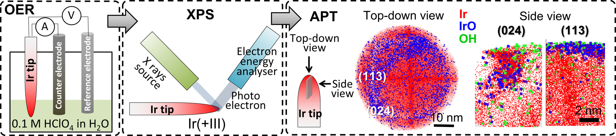 Direct Detection of Surface Species Formed on Iridium Electrocatalysts during the Oxygen Evolution Reaction