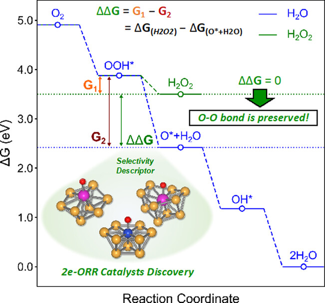 Validating ΔΔG Selectivity Descriptor for Electrosynthesis of H2O2 from Oxygen Reduction Reaction