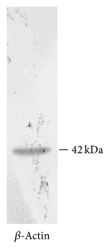 Details are in the caption following the image