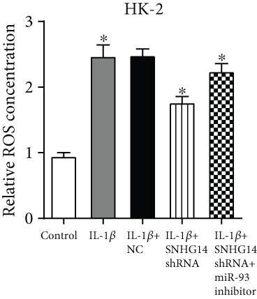 Details are in the caption following the image
