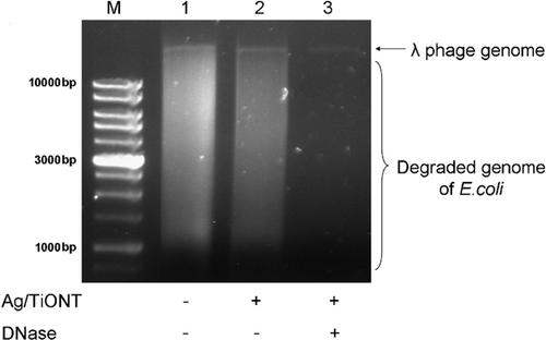 Details are in the caption following the image