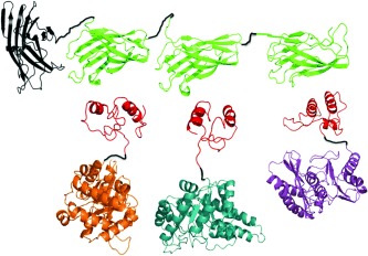 Facilitated Substrate Channeling in a Self-Assembled Trifunctional Enzyme Complex