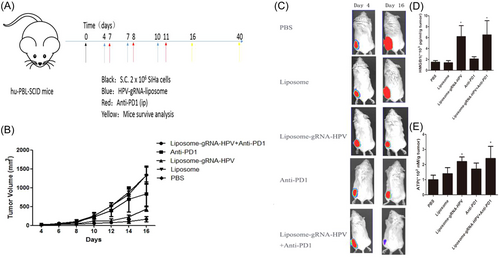 Details are in the caption following the image Details are in the caption following the image