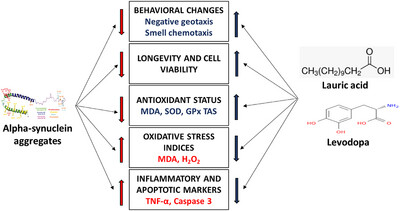 Lauric acid with or without levodopa ameliorates Parkinsonism in genetically modified model of Drosophila melanogaster via the oxidative–inflammatory–apoptotic pathway