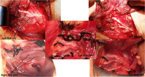 Details are in the caption following the image Details are in the caption following the image