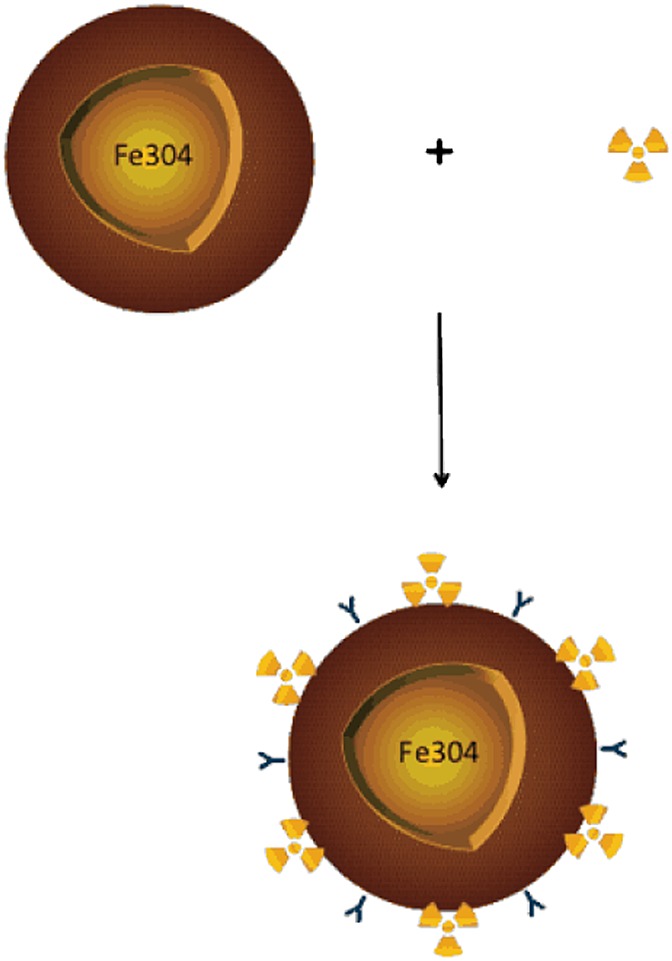 Main applications of hybrid PET-MRI contrast agents: a review