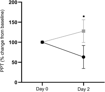 Investigating interindividual variability in corticomotor reorganization during sustained hamstring pain: A randomized experimental study