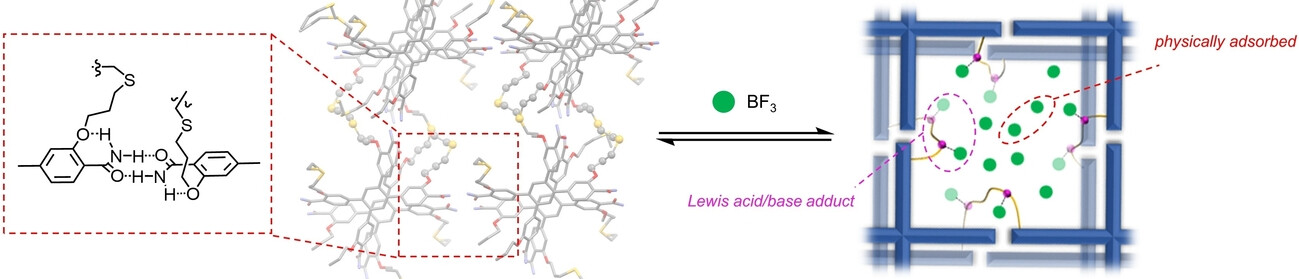 Ortho-Alkoxy-benzamide Directed Formation of a Single Crystalline Hydrogen-bonded Crosslinked Organic Framework and Its Boron Trifluoride Uptake and Catalysis