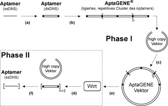 Biotechnologie und Bioverfahrenstechnik – Vom ersten Ullmanns Artikel bis hin zu aktuellen Forschungsthemen Biotechnology and Bioprocess Engineering – From the First Ullmanns Article to Recent Trends