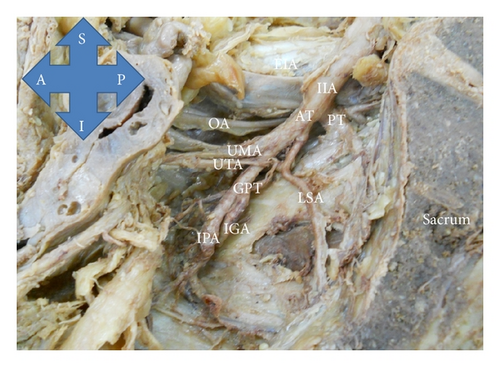 Details are in the caption following the image Details are in the caption following the image