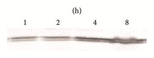 Details are in the caption following the image