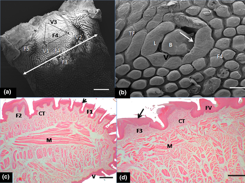Details are in the caption following the image