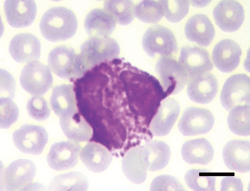 Details are in the caption following the image