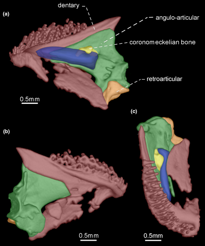 Details are in the caption following the image Details are in the caption following the image