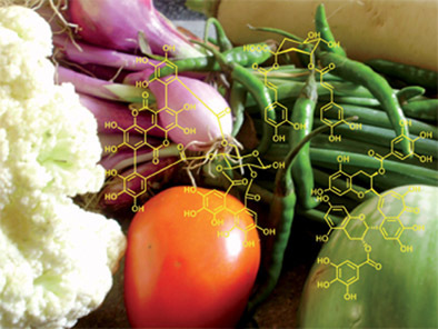 Polyphenole: Vielseitige Pflanzeninhaltsstoffe