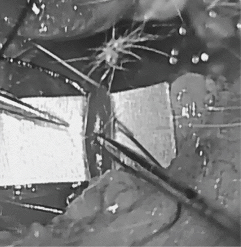 Details are in the caption following the image