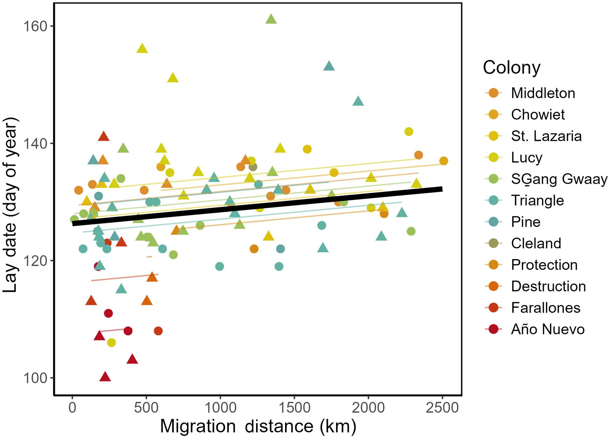 Shorter Migration Distance and Breeding Latitude Correlate With Earlier Egg-Laying Across the Northeastern Pacific Ocean Range of the Rhinoceros Auklet (Cerorhinca monocerata)