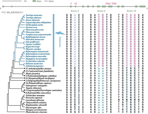 Details are in the caption following the image Details are in the caption following the image